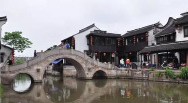 寻找萌宠松鼠